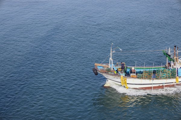Comment découvrir les traditions de la pêche au crabe royal en Norvège ?
