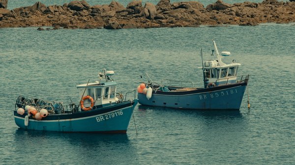 Comment découvrir les traditions de la pêche au filet en Bretagne ?